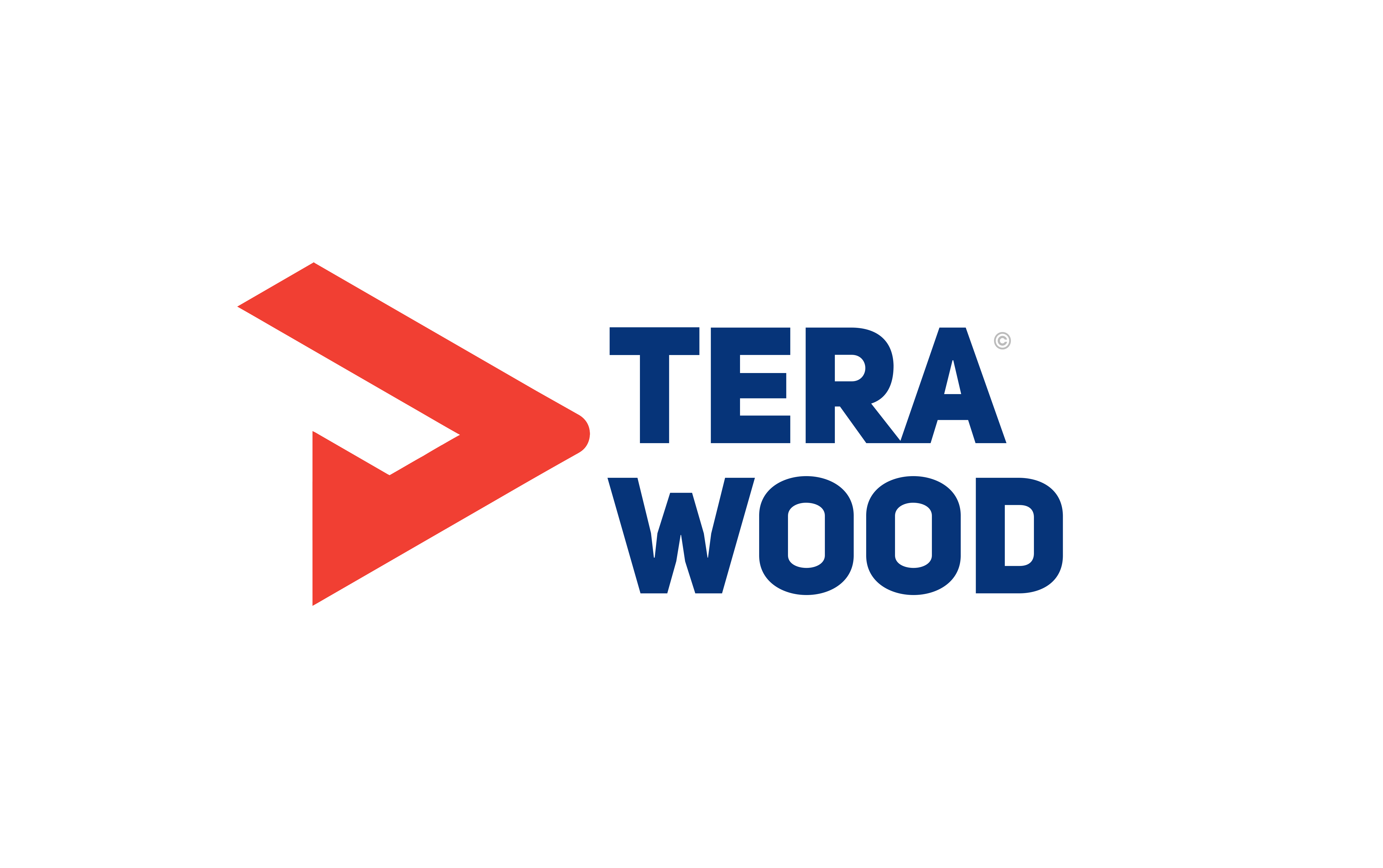 TeraWood Logo